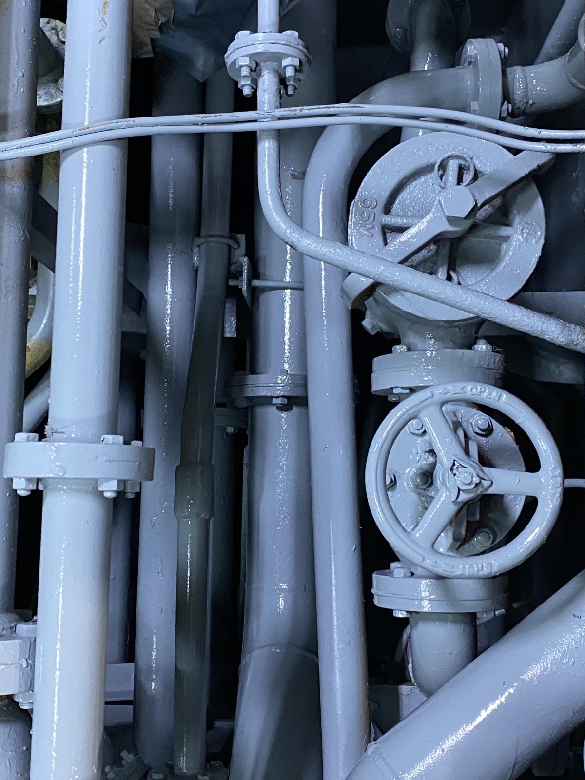 Engine room bilges cleaning - chemical washing - painting